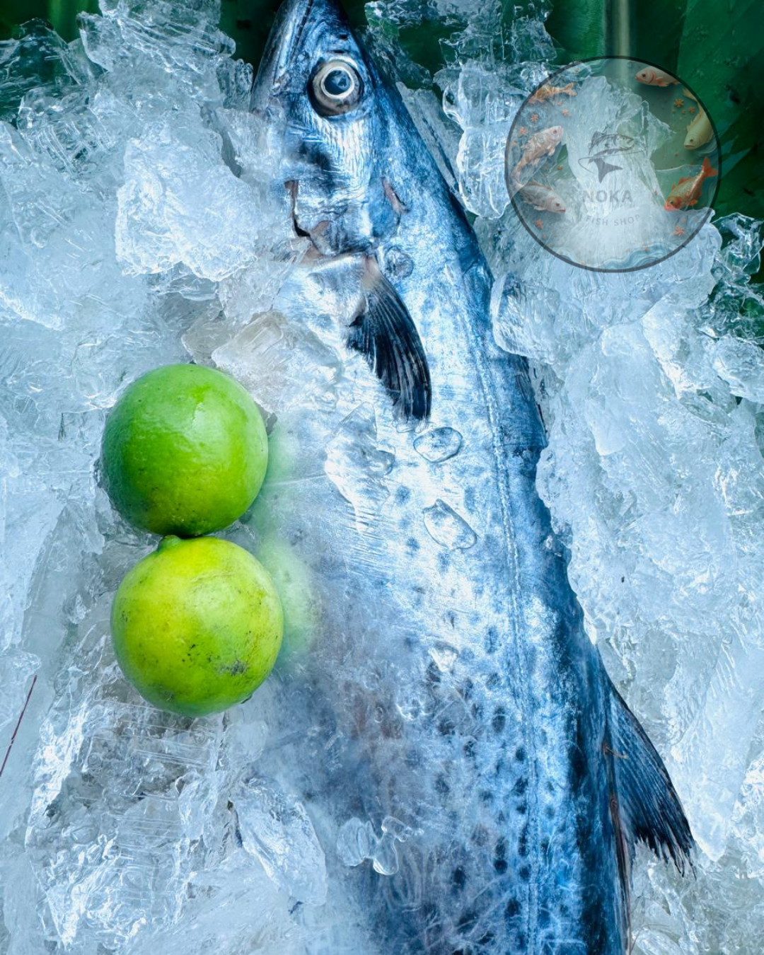 Fresh Surmai (King Mackerel)